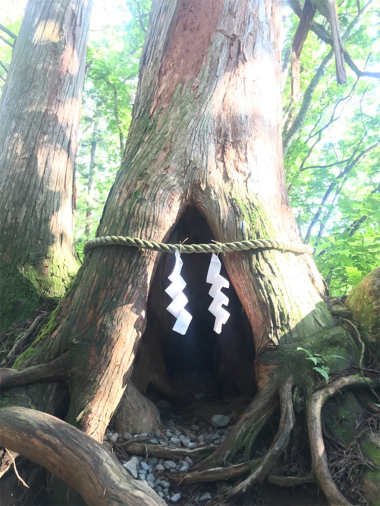 f:id:tenjo09:20191229211117j:image