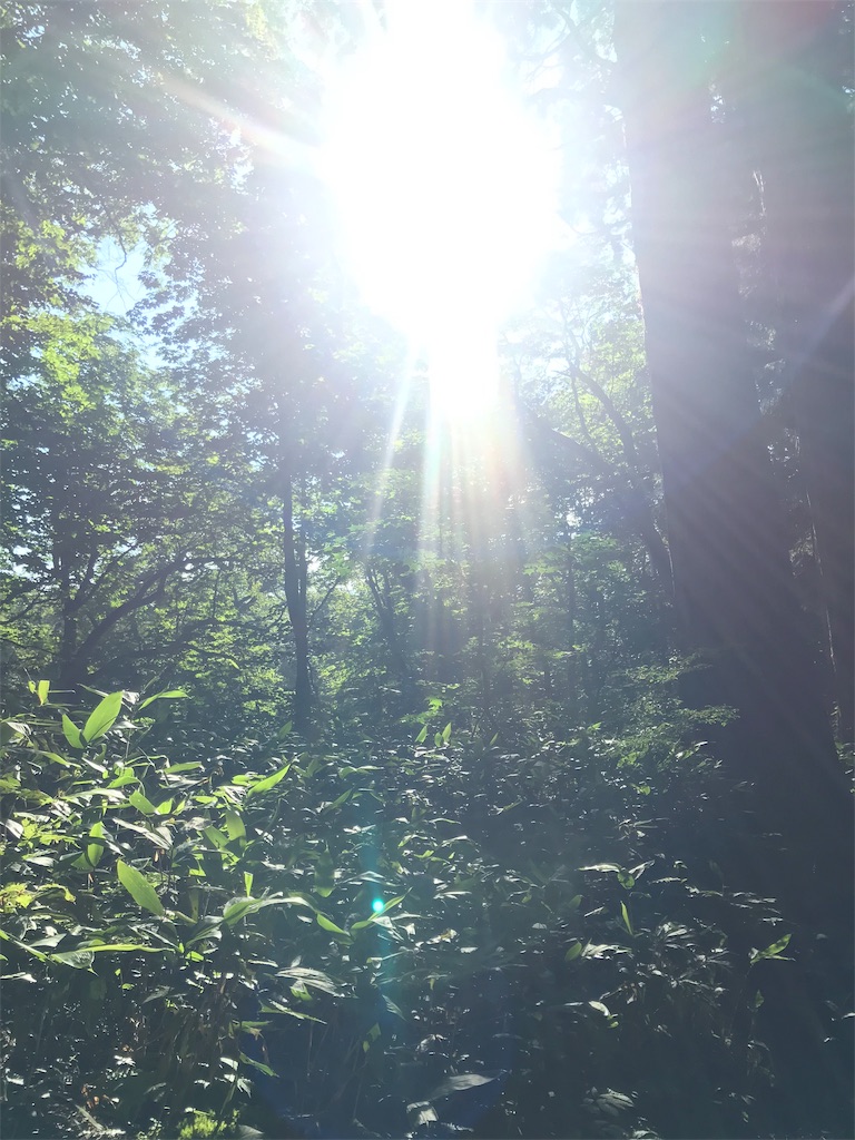 f:id:tenjo09:20191229211313j:image f:id:tenjo09:20191229211313j:image
