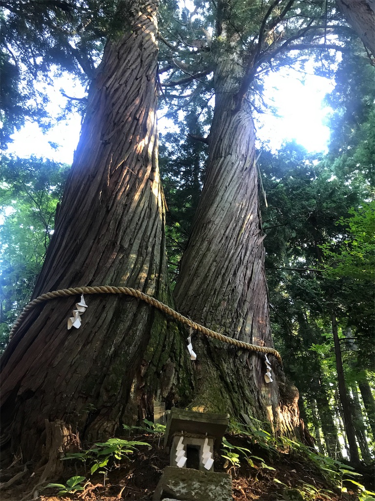 f:id:tenjo09:20191229214906j:image f:id:tenjo09:20191229214906j:image