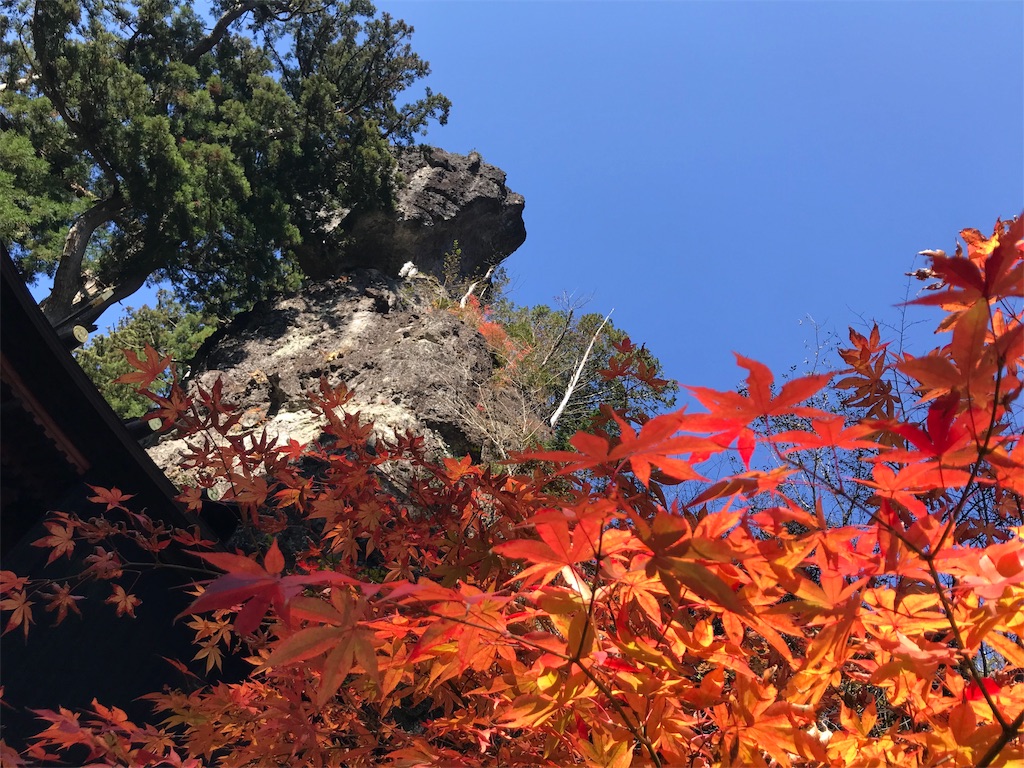 f:id:tenjo09:20191231224757j:image f:id:tenjo09:20191231224757j:image