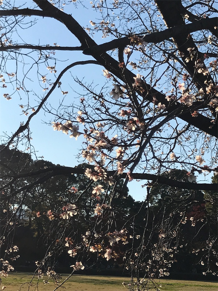 f:id:tenjo09:20191231224842j:image f:id:tenjo09:20191231224842j:image