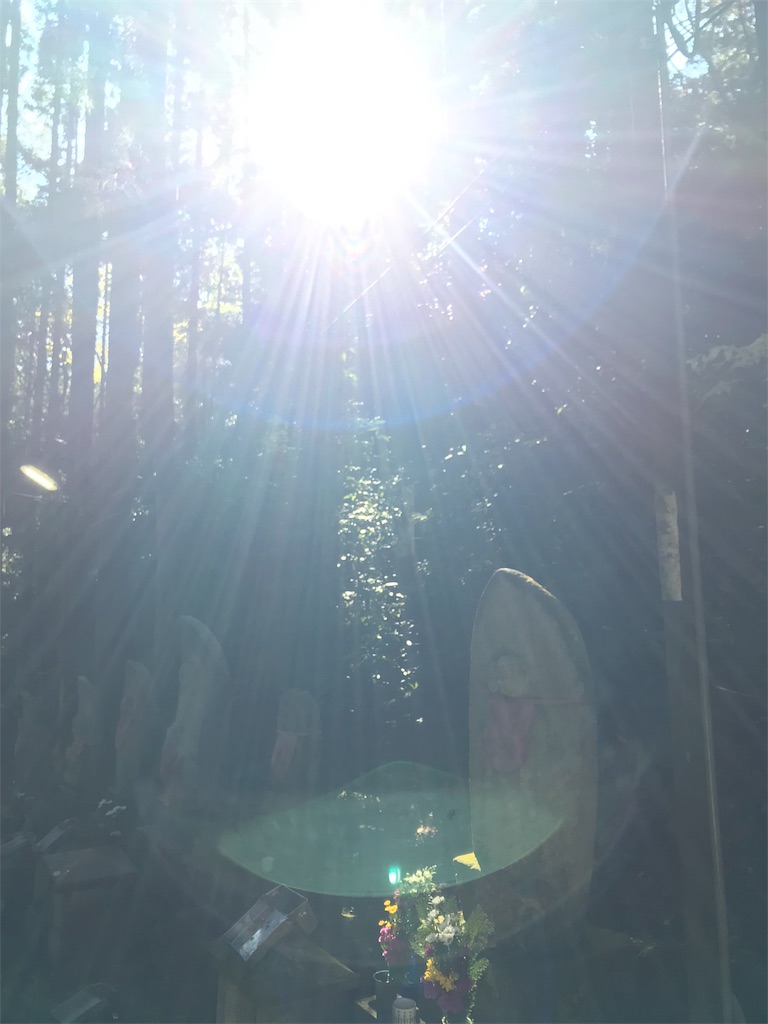 f:id:tenjo09:20191231225101j:image f:id:tenjo09:20191231225101j:image