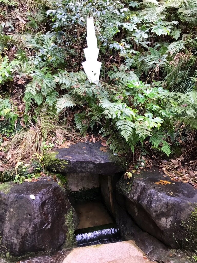 f:id:tenjo09:20191231225400j:image f:id:tenjo09:20191231225400j:image