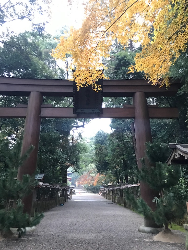 f:id:tenjo09:20191231225504j:image f:id:tenjo09:20191231225504j:image