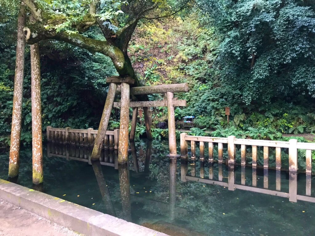 f:id:tenjo09:20191231225538j:image f:id:tenjo09:20191231225538j:image