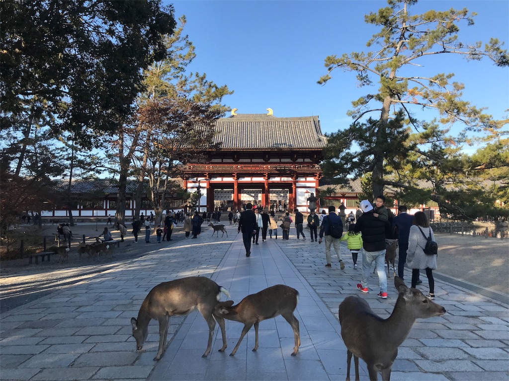 f:id:tenjo09:20191231225710j:image f:id:tenjo09:20191231225710j:image