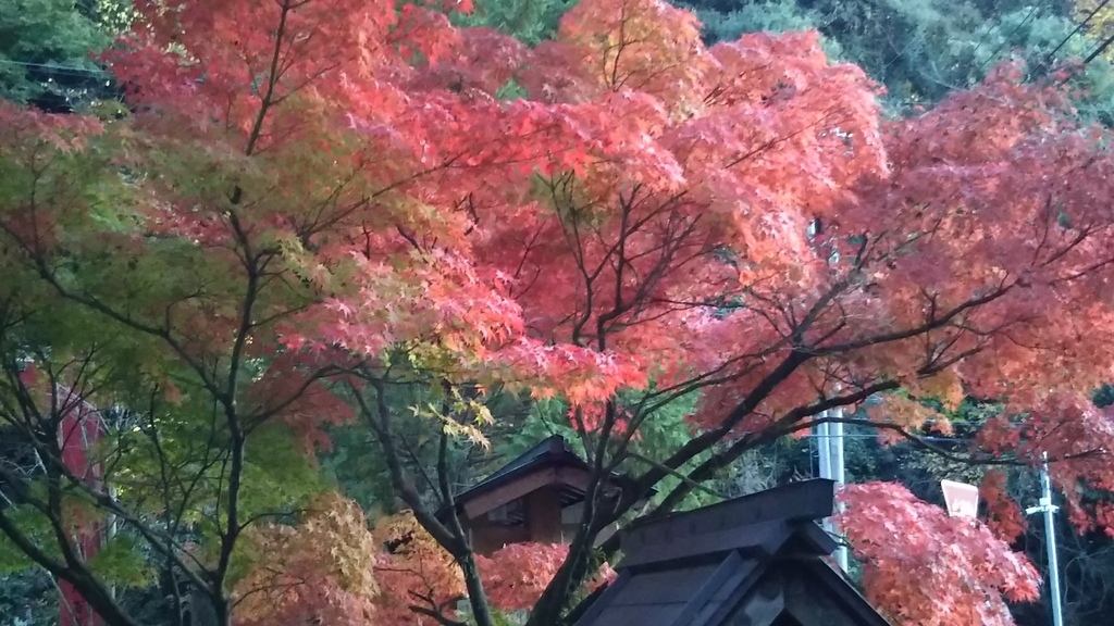 f:id:tenkai_kaiou:20181116164333j:plain
