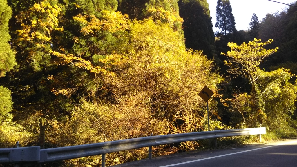 f:id:tenkai_kaiou:20181116164654j:plain