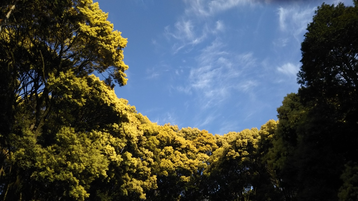 f:id:tenkai_kaiou:20190511092918j:plain