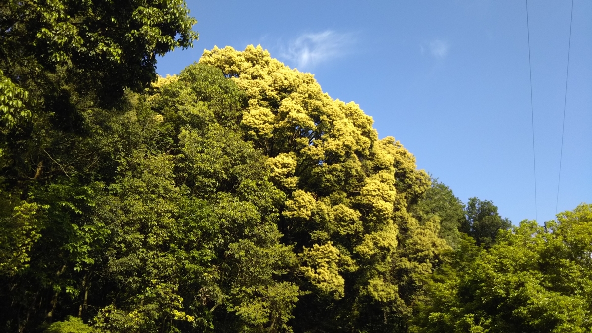 f:id:tenkai_kaiou:20190511093005j:plain