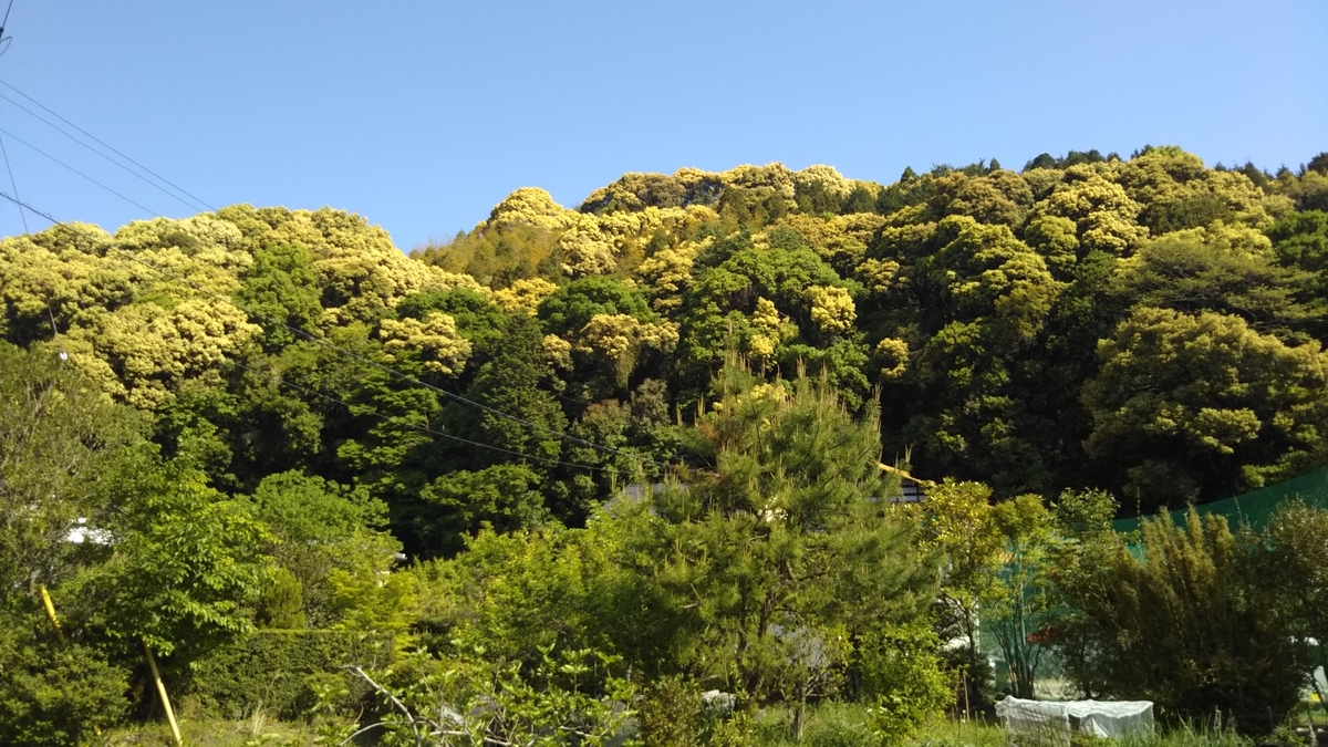 f:id:tenkai_kaiou:20190511093046j:plain