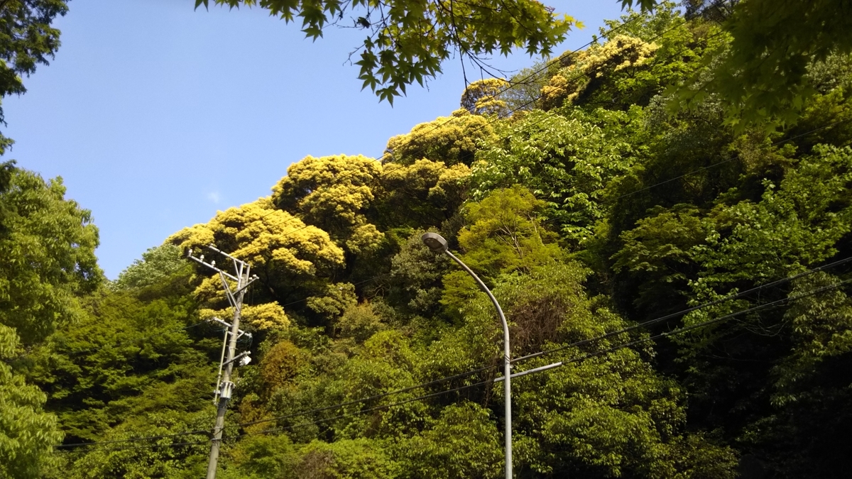 f:id:tenkai_kaiou:20190516083740j:plain