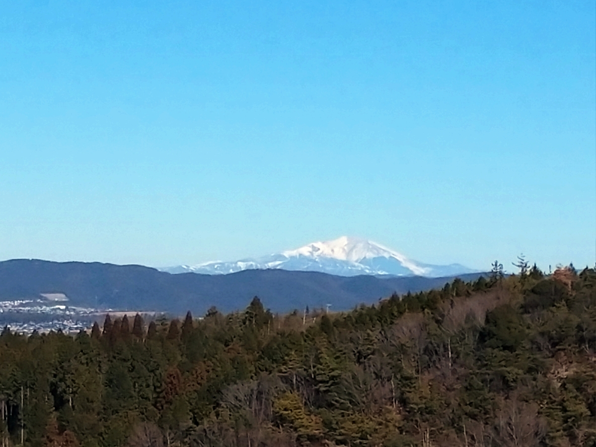 f:id:tenkai_kaiou:20210125160928j:plain