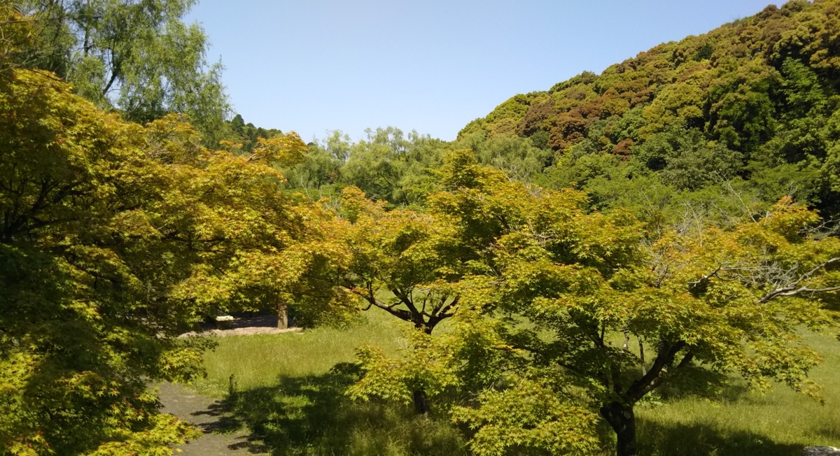f:id:tenkai_kaiou:20210205120132j:plain