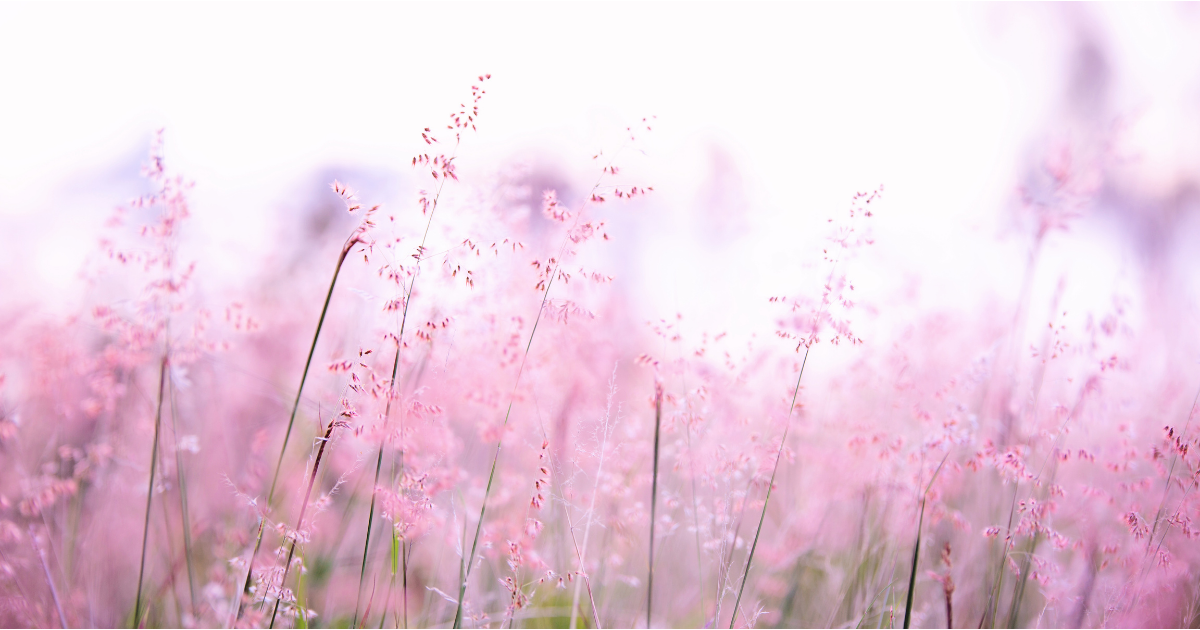 f:id:tenkan_life:20210331120804p:plain