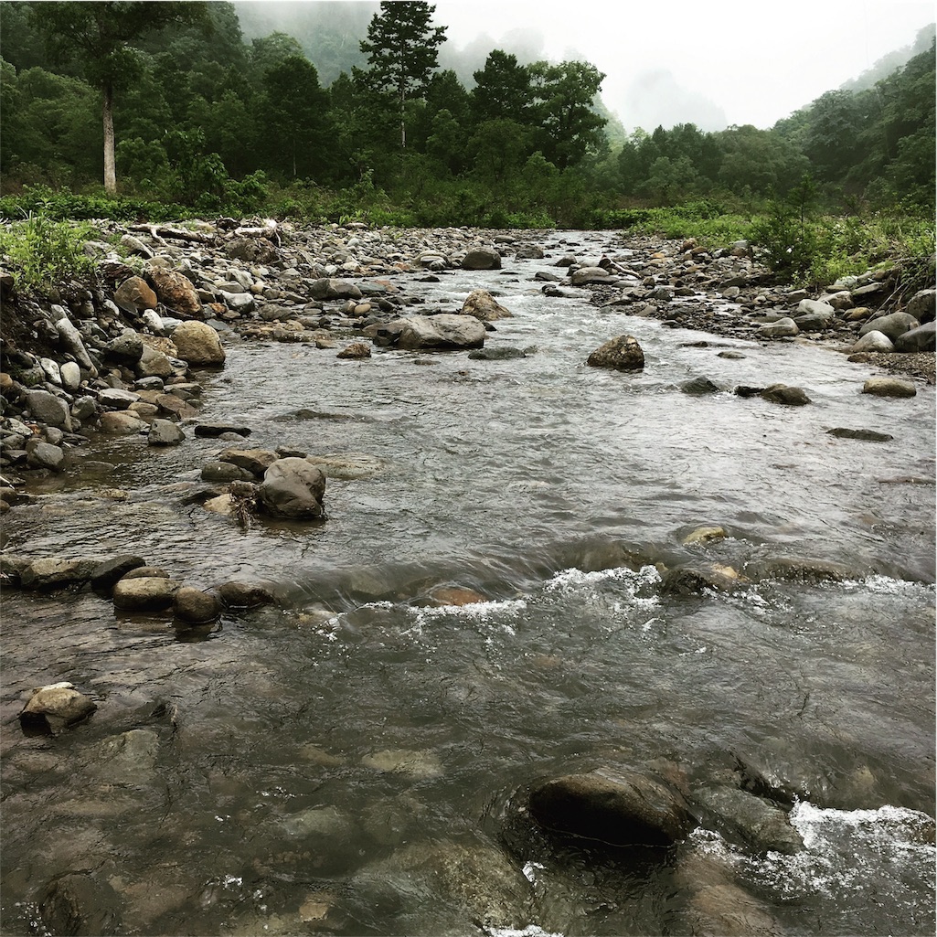 テンカラトリップ釣行記 17年7月中旬の新潟県の頸城山塊源流域 ツ抜け の別天地 テンカラライフ テンカラ入門 渓流 釣り初心者がゼロから一尾釣れるまで テンカラトリップ釣行記 17年7月中旬の新潟県の頸城山塊源流域 ツ抜け の別天地 テンカラライフ テンカラ入門 渓流 釣り初心者がゼロから一尾釣れるまで