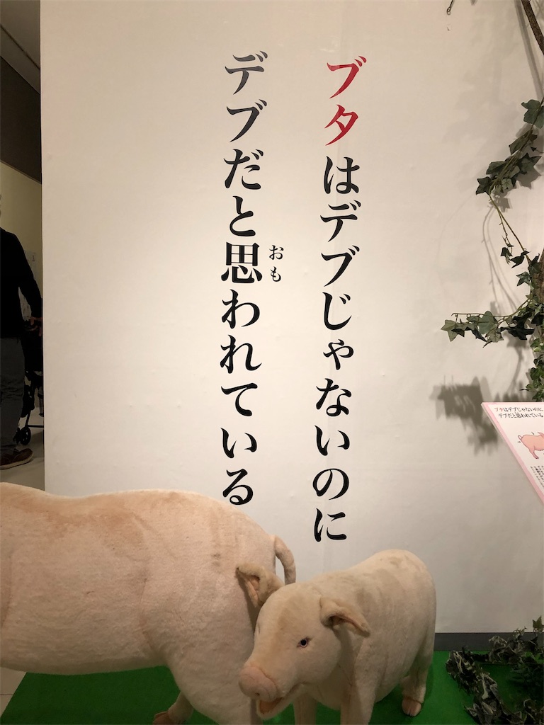 f:id:tenkin-fuwafuwa:20190106213936j:image f:id:tenkin-fuwafuwa:20190106213936j:image