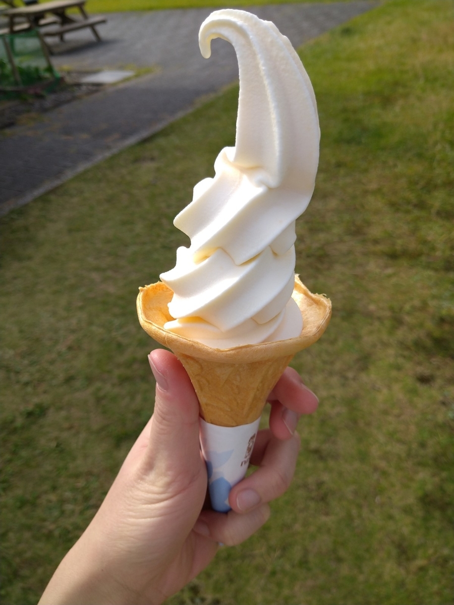 f:id:tenkin-tsuma:20211027203328j:plain