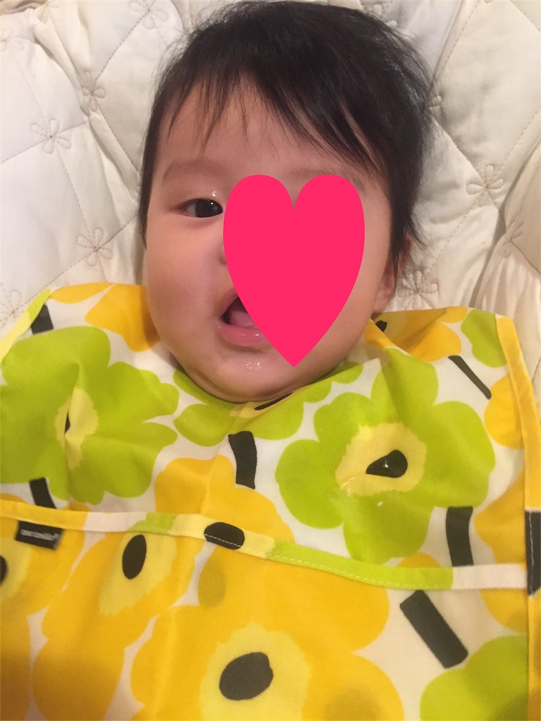 f:id:tenkinikkanon:20171022195818j:image