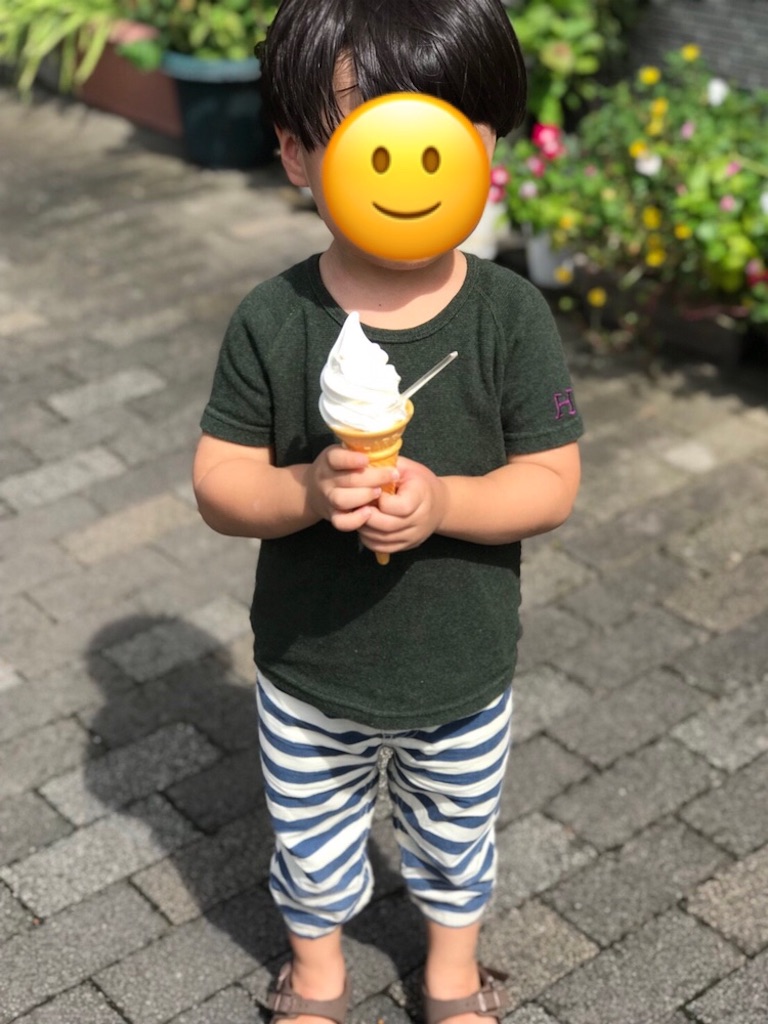 f:id:tenkinikkanon:20181205152702j:image