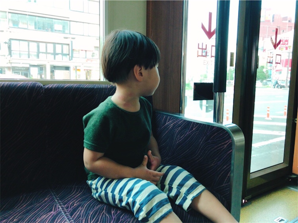 f:id:tenkinikkanon:20181205153809j:image