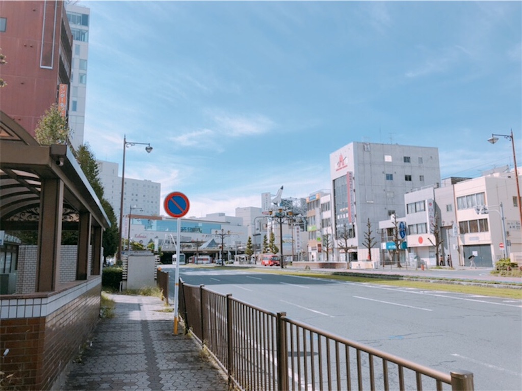 f:id:tenkinikkanon:20181205153907j:image