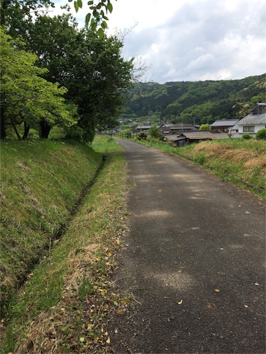 f:id:tenkochaniine:20170505123051j:image f:id:tenkochaniine:20170505123051j:image