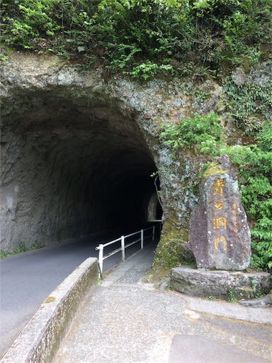 f:id:tenkochaniine:20170505125223j:image f:id:tenkochaniine:20170505125223j:image