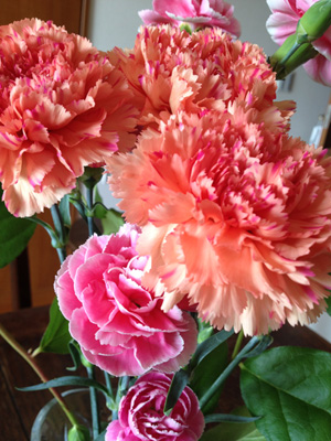 f:id:tenkokudou:20120514133148j:image f:id:tenkokudou:20120514133148j:image