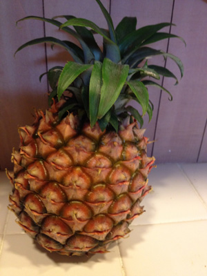 f:id:tenkokudou:20120531103112j:image f:id:tenkokudou:20120531103112j:image
