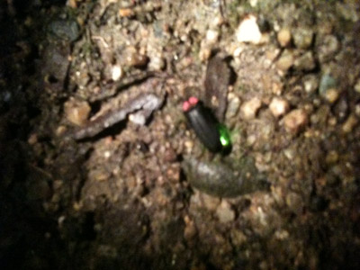 f:id:tenkokudou:20120612141619j:image f:id:tenkokudou:20120612141619j:image