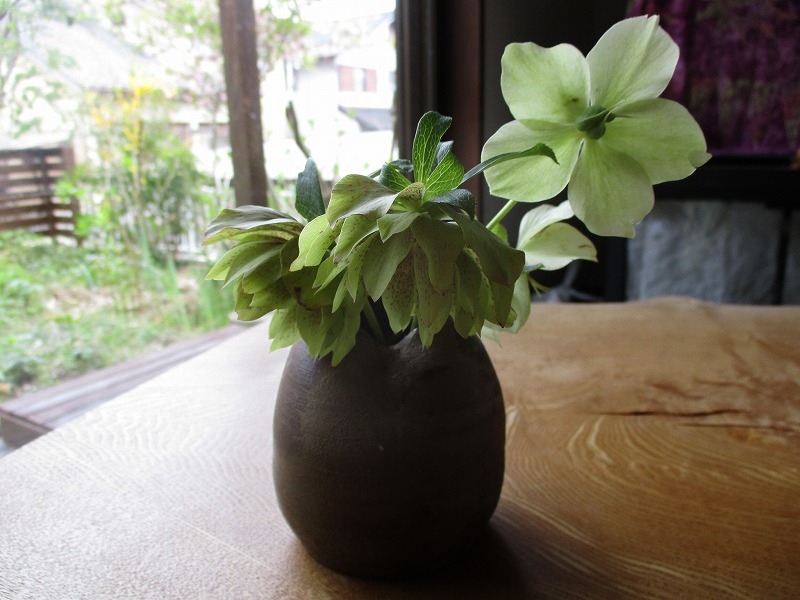 f:id:tenkufarm:20200421160744j:plain f:id:tenkufarm:20200421160744j:plain