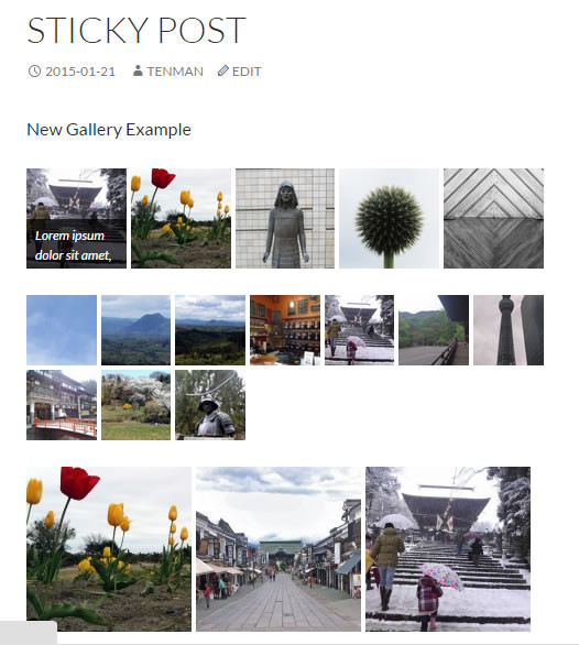 f:id:tenman:20150123145335j:image f:id:tenman:20150123145335j:image