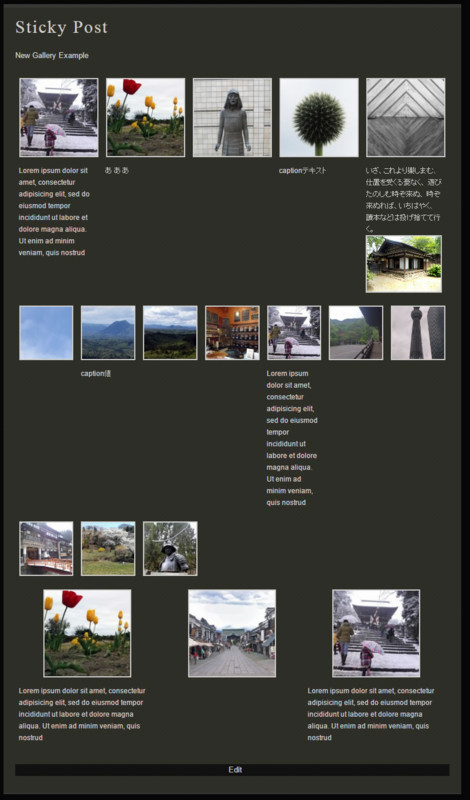 f:id:tenman:20150123151120j:image f:id:tenman:20150123151120j:image