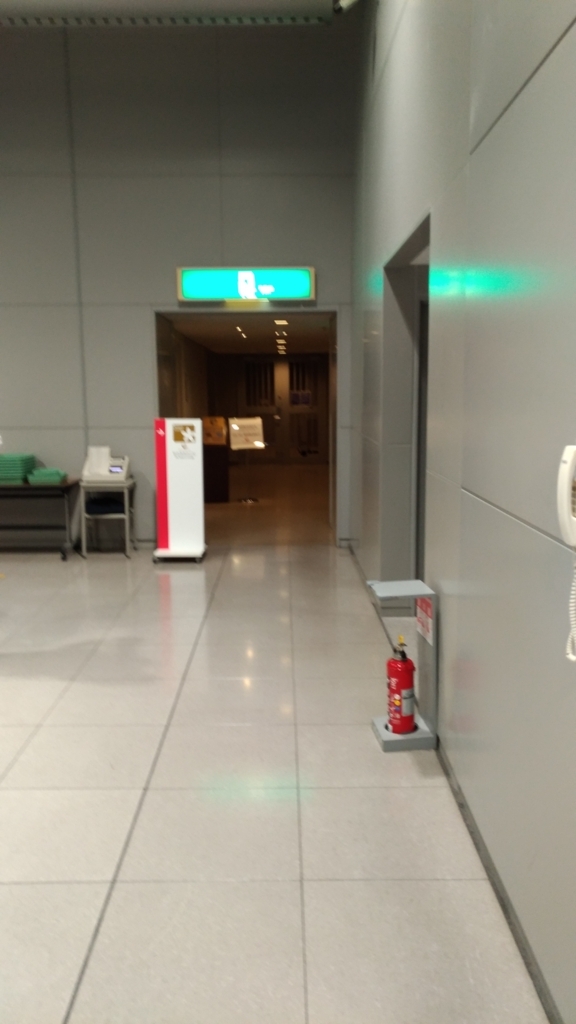 f:id:tenmugi:20170628065722j:plain