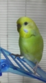 20101002181500