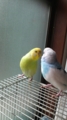 20101003095100