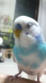 20101004190300