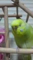 20101004191100