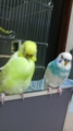 20101018191500