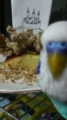 20101021174400