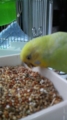20101024095400