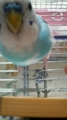 20101024095500
