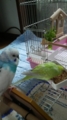 20101024095700