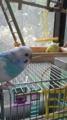 20101024100500