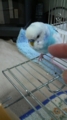 20101103161200