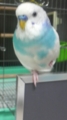 20101106170900
