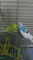 20101114165600