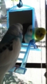 20101117090100