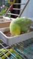 20101117153900